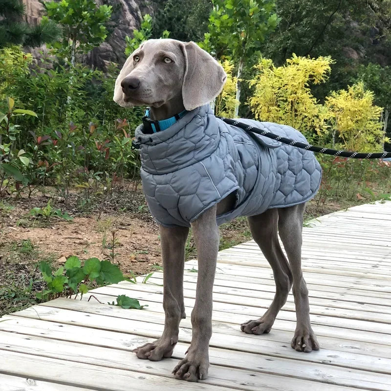 Winter Reflective Snowsuit Down Jacket For Active Dogs