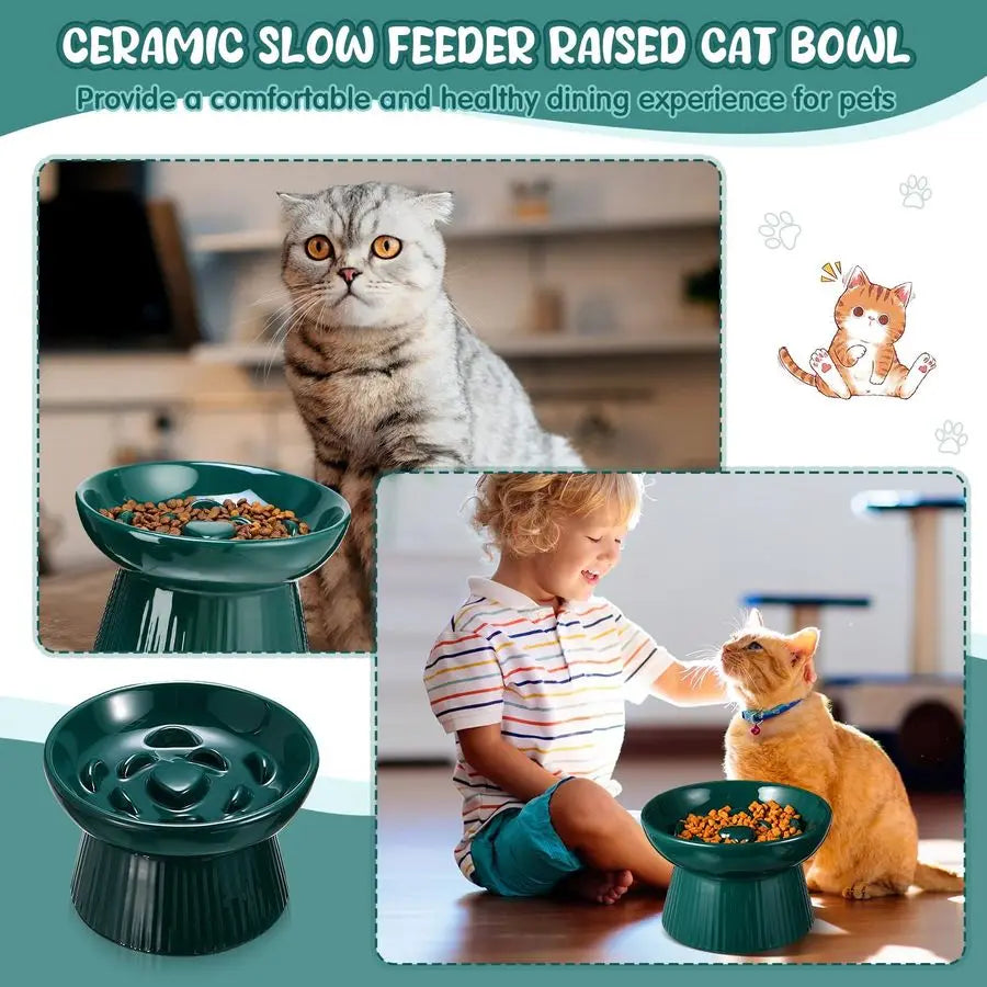 2 Pcs Raised Cat Slow Feeder Bowl Ceramic Elevated Cat Dog Food Bowl