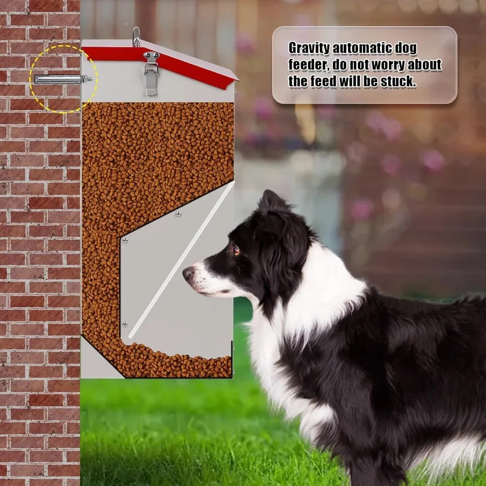 Automatic Dog Feeder Outdoor Stainless Steel Food Dispenser