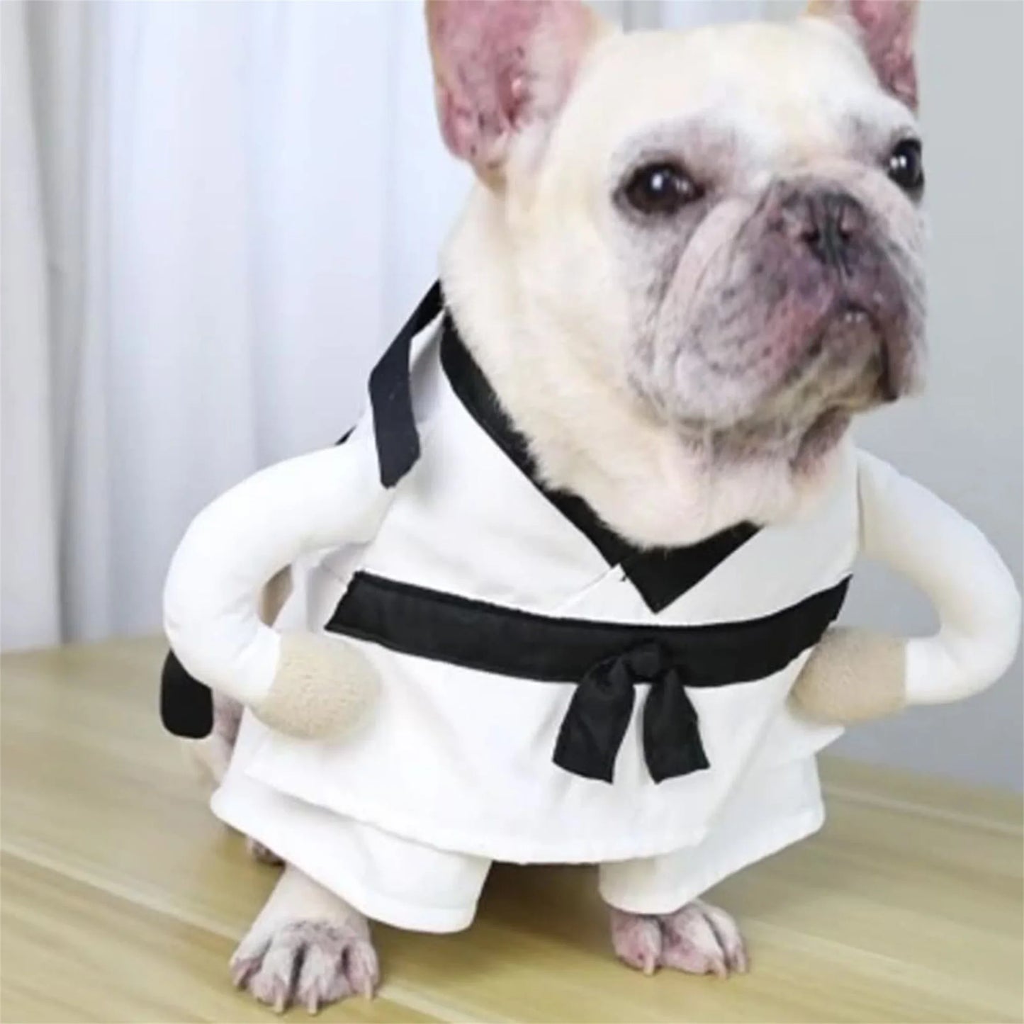 Funny Halloween Pet Costume Soft Comfort For Dogs And Cats