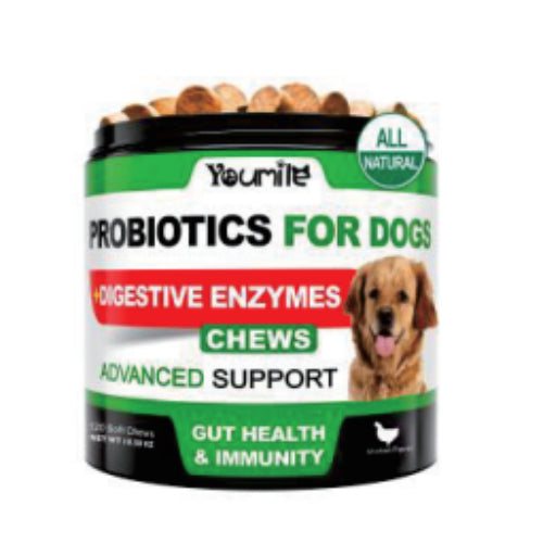 Probiotic Chewable For Digestive Health And Daily Wellness