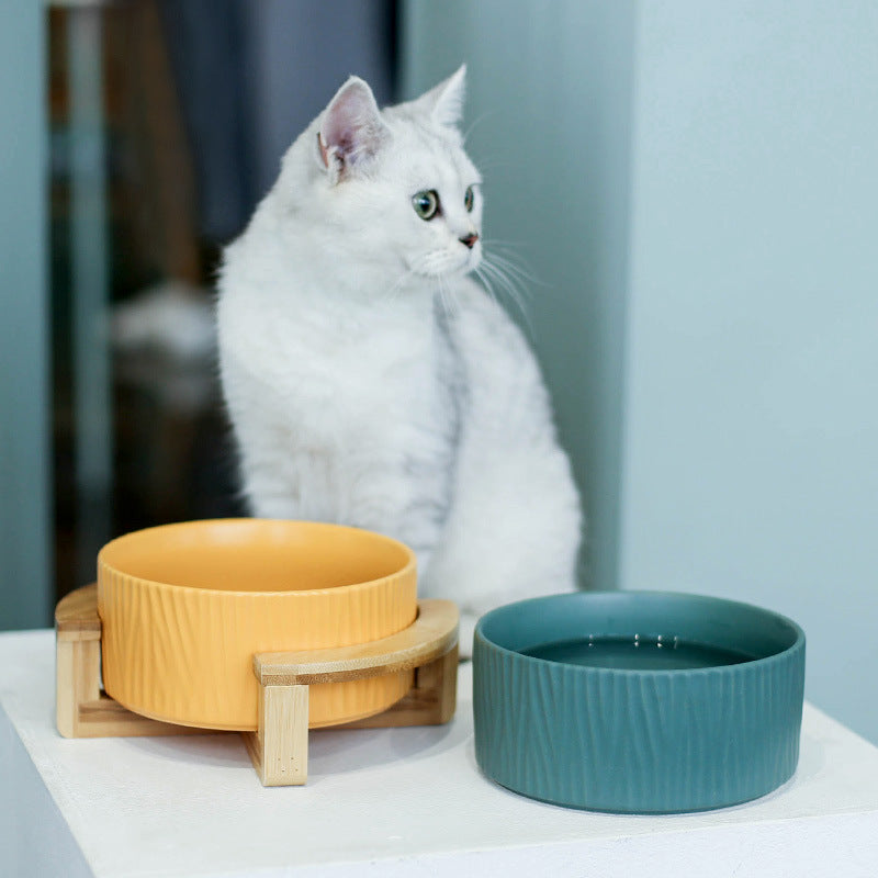 Cat food