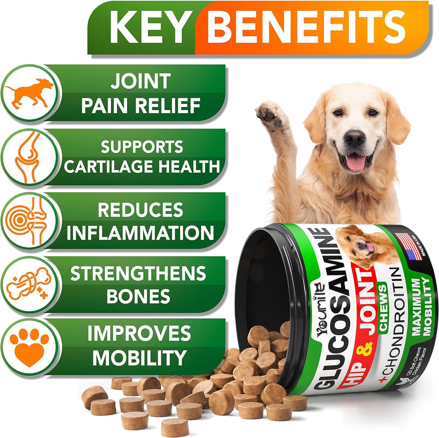Pet Hip and Joint Supplement With Chondroitin Chewable Tablets