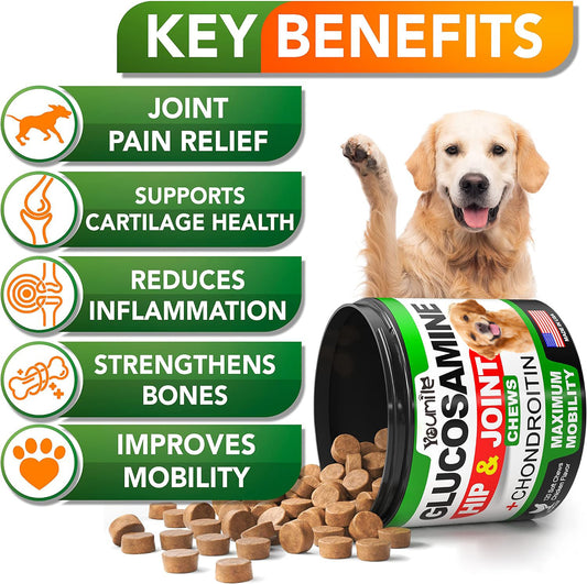 Pet Hip and Joint Supplement With Chondroitin Chewable Tablets