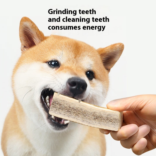 Bite Resistant Dental Health Pet Snacks For Teeth Cleaning