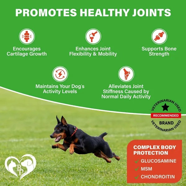 Dog Hip And Joint Supplement Soft Chews For Arthritis Relief