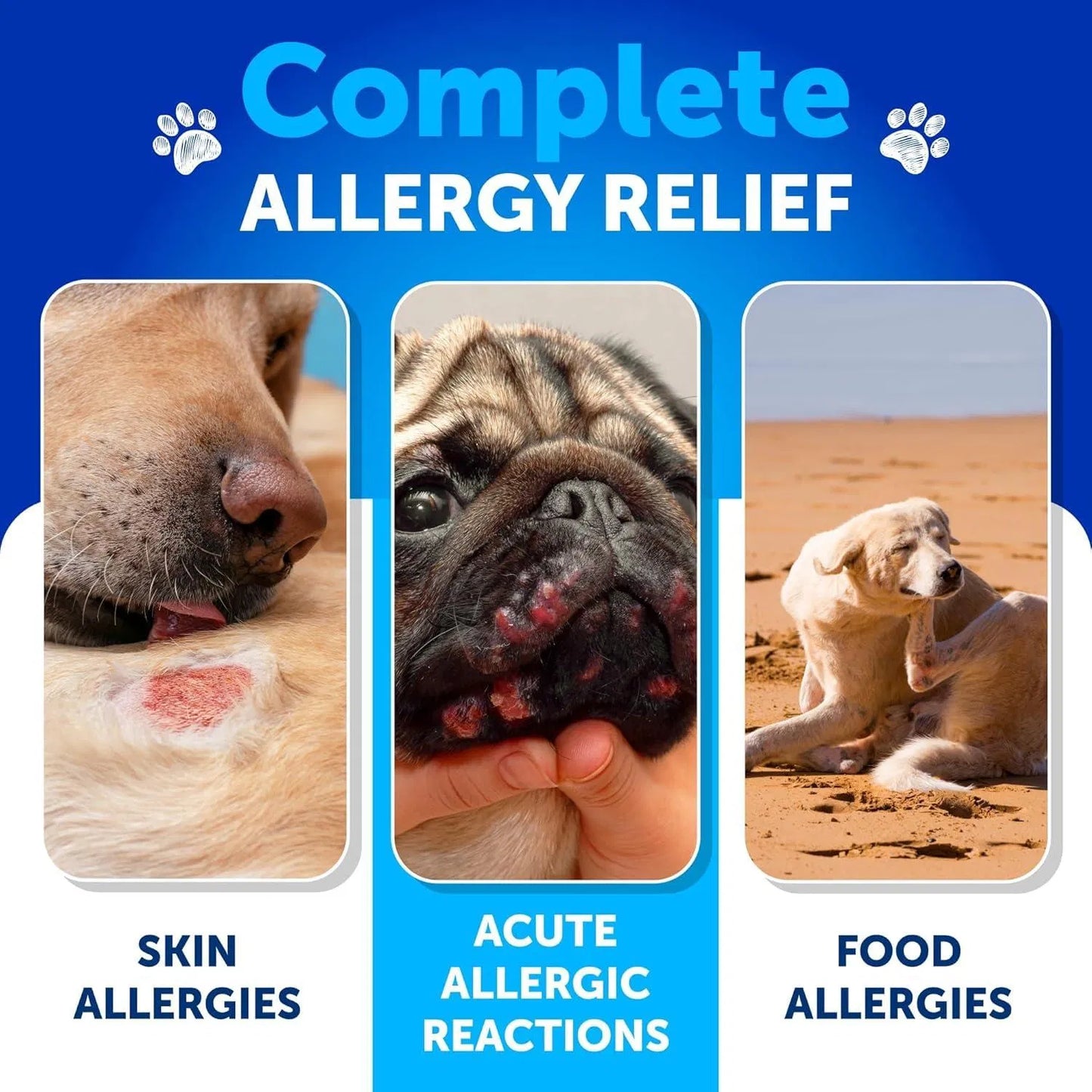 Probiotic Dog Chews For Immune Support And Digestive Health