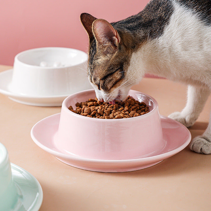 Anti Choke Slow Feeder Pet Bowl For Cats And Canines