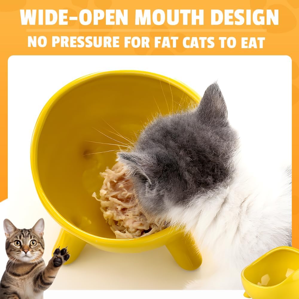 Sturdy Round Arc Ceramic Cat And Small Dog Food Bowl