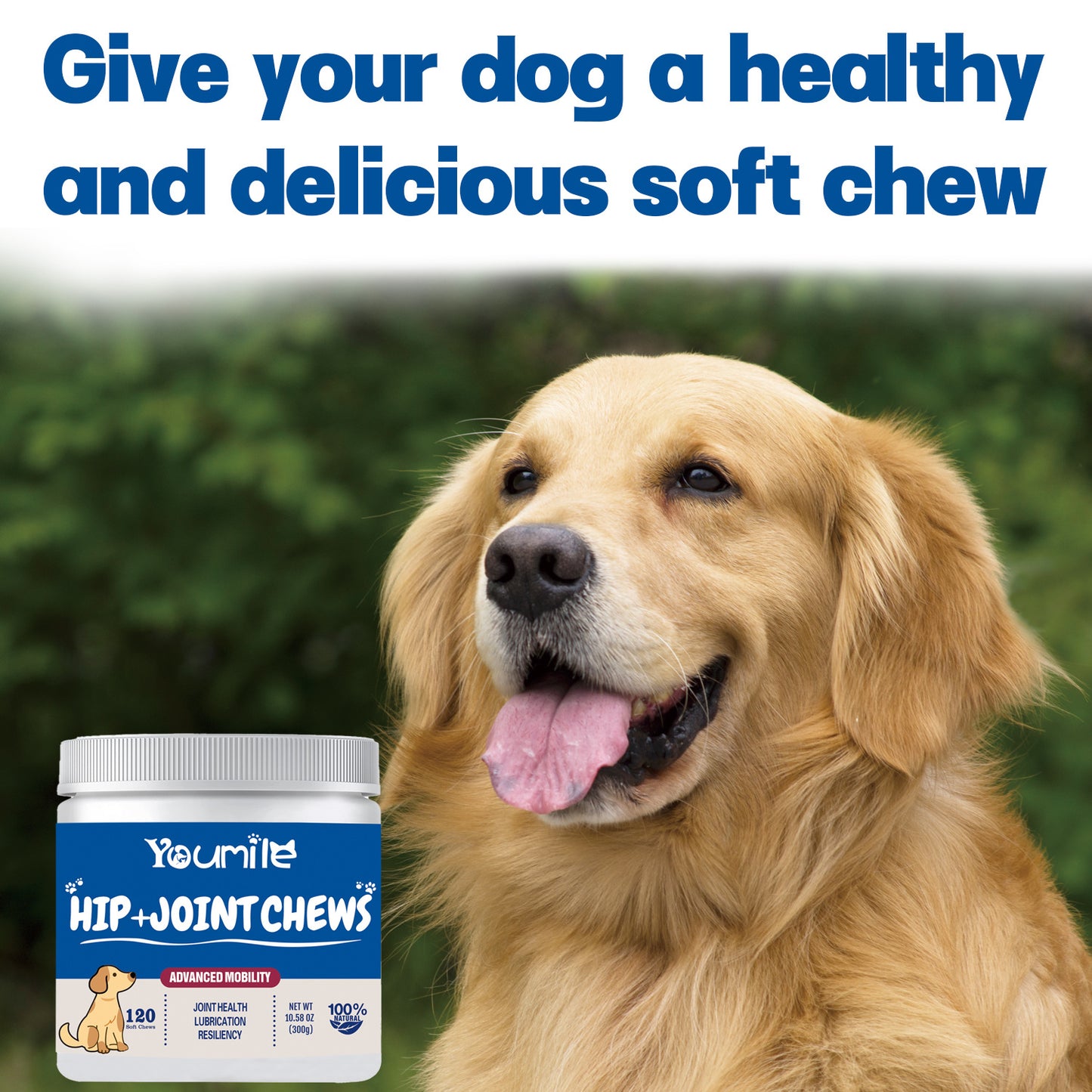 Dog Hip Joint Supplement With Glucosamine Chondroitin And Fish Oil