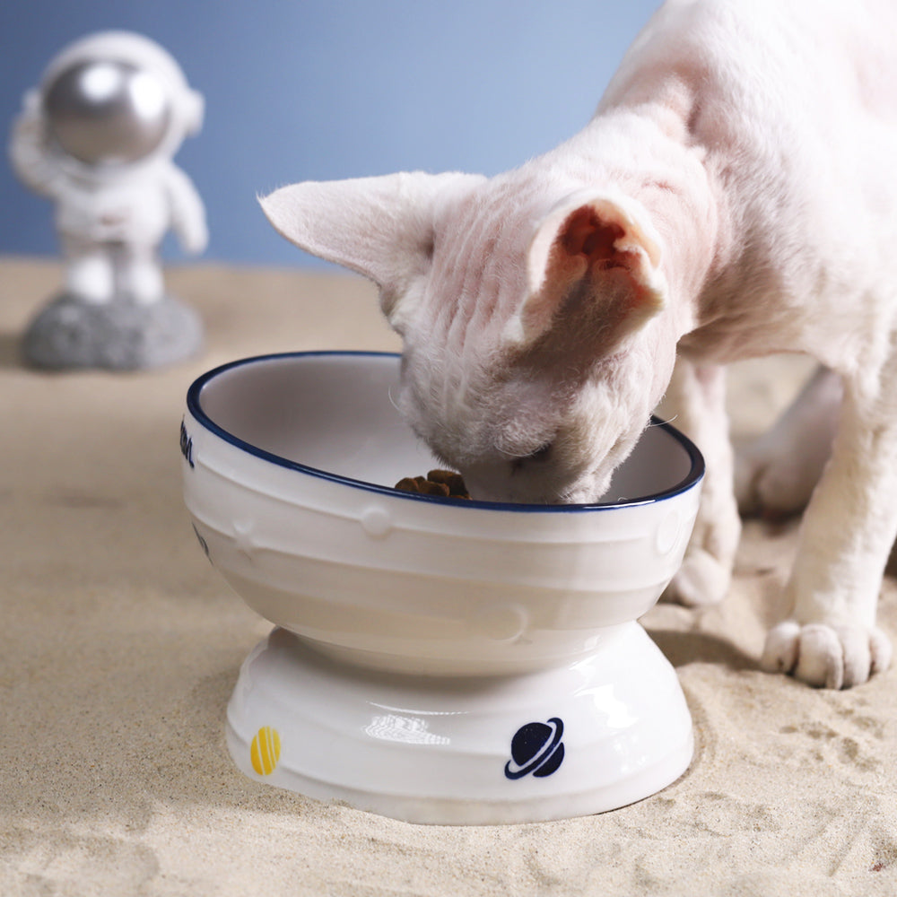 Planet Print Ceramic Cat Food Bowl With Slanted Design