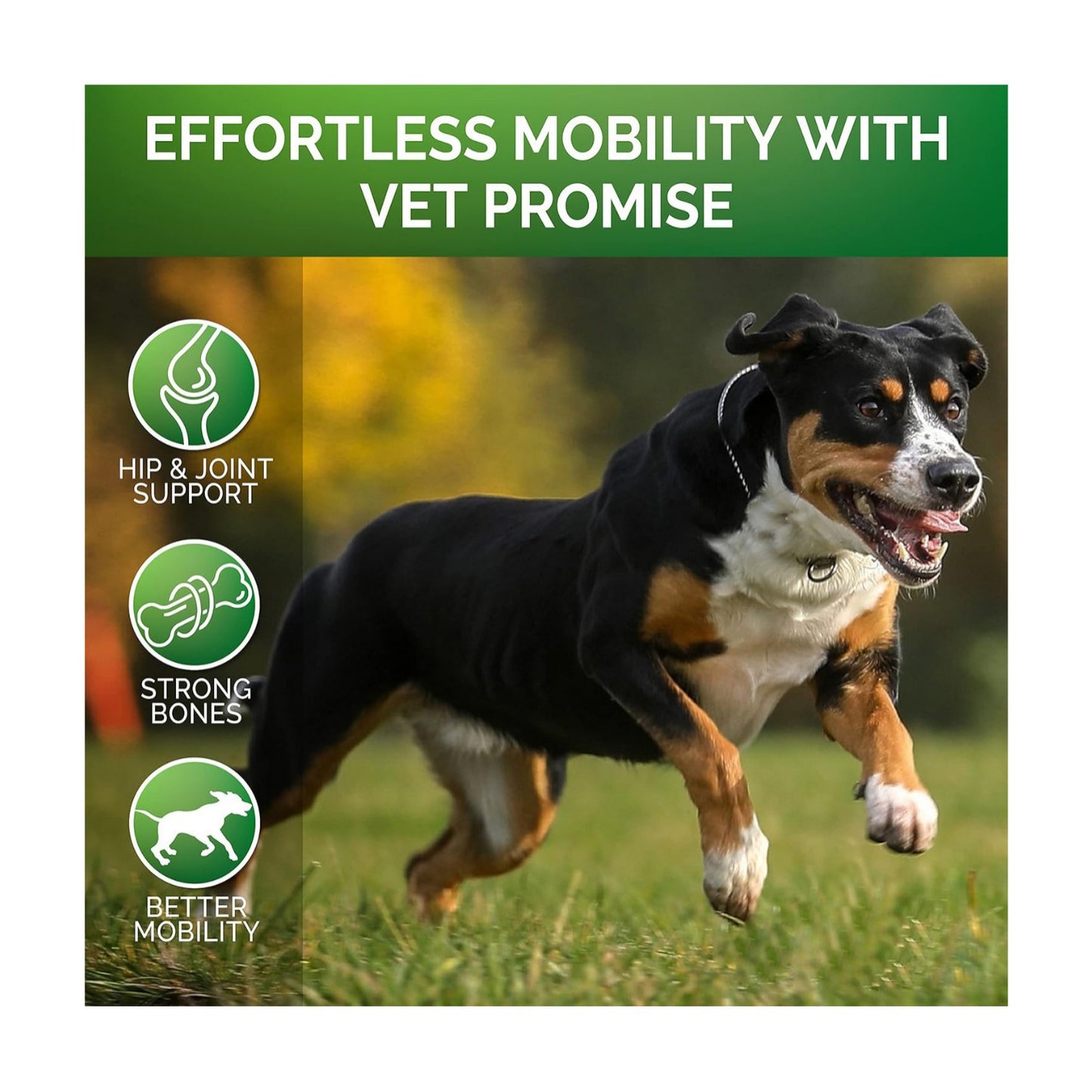 Pet Hip and Joint Supplement With Chondroitin Chewable Tablets