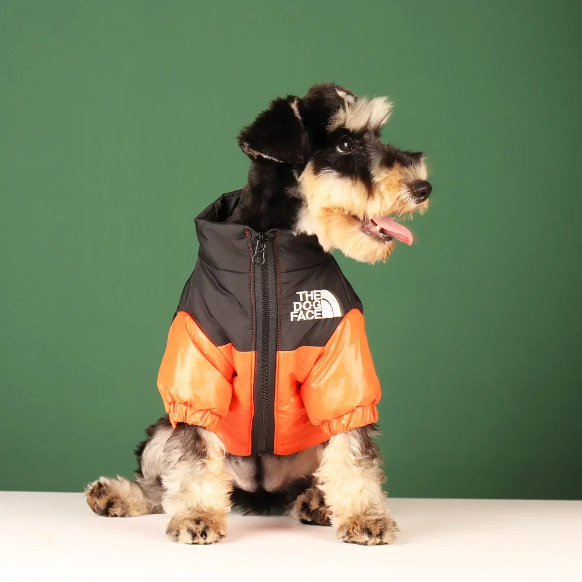 Winter Windproof Reflective Dog Coat for All Breeds