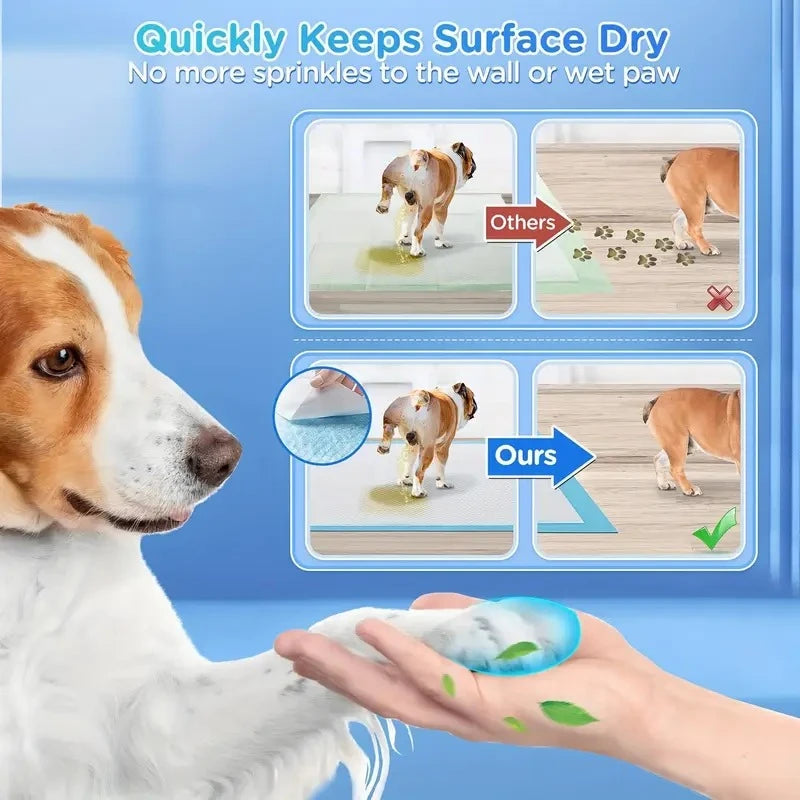 Dog Pee Pads for Potty Training with Quick-Dry Technology
