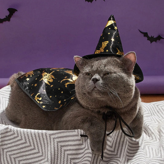 Halloween Pumpkin Cape Pet Costume Set Spiderweb Pattern