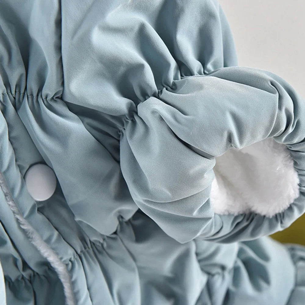 Winter Warm Dog Dress With Floral Bubble Skirt Hooded Coat