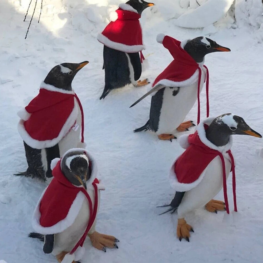 Pet Cat Dog Cape Change Into Santa Cape Deer Red Riding Hood Warm Plush Kawaii Comfortable Windproof Repeat Costume