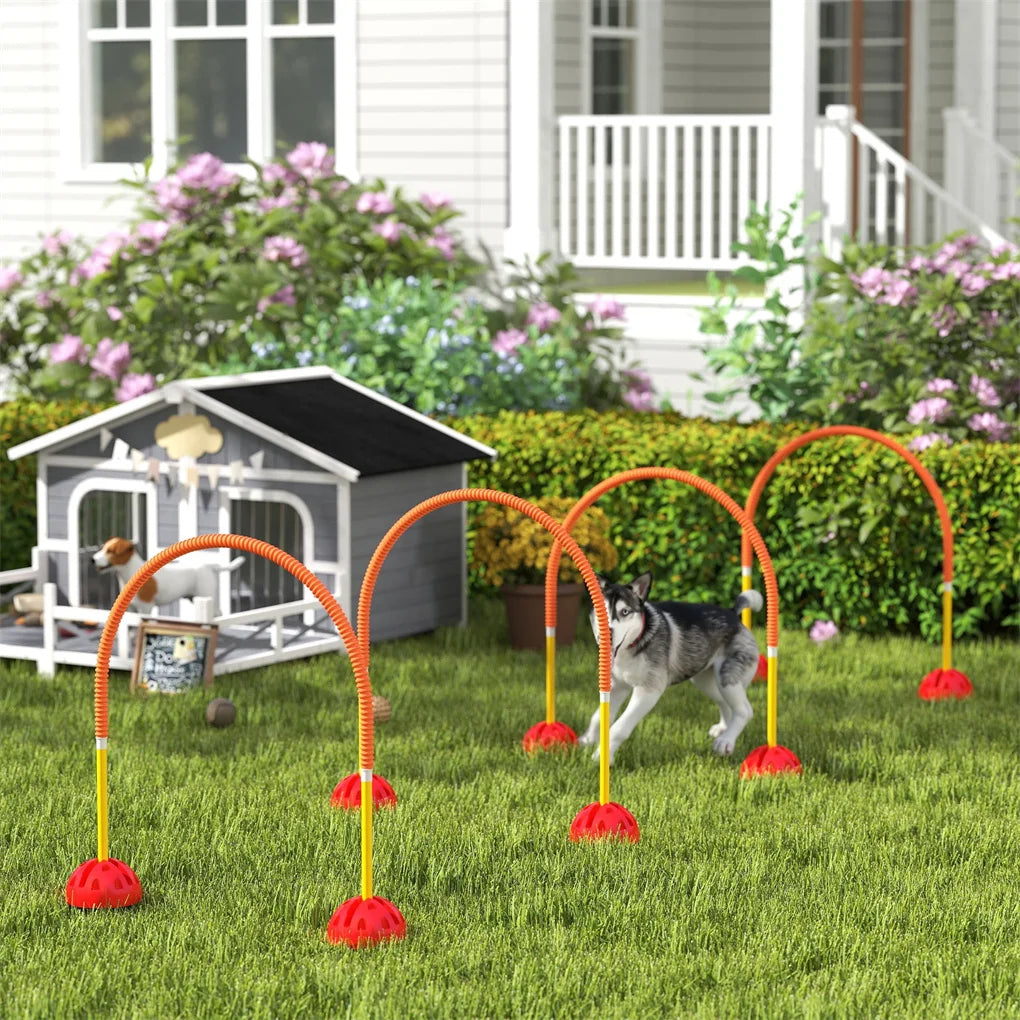 Dog Agility Training Equipment Set for Fun and Exercise