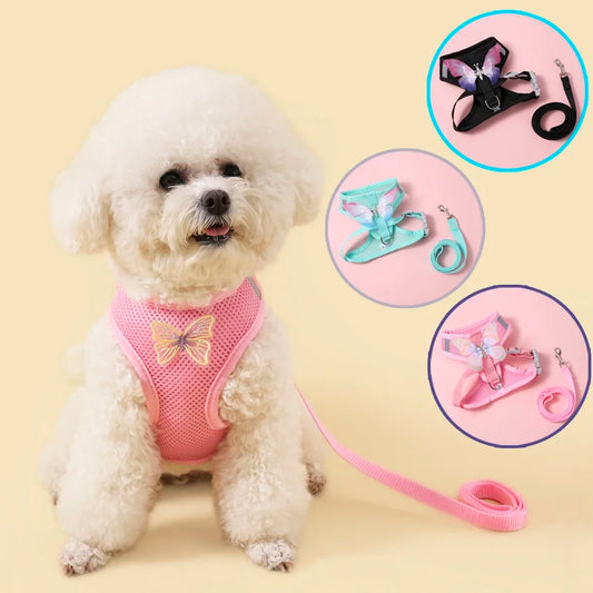 Butterfly Cute Breathable Dog Harness Set for Small Dogs Cat Puppy Chest Vest Leash Outdoor Walking Pet Accessories Summer