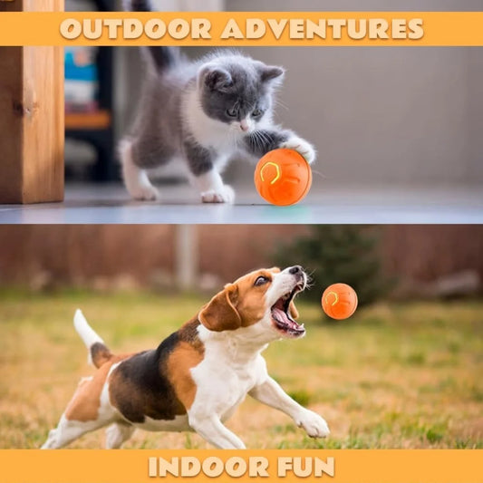 Smart Bouncing Pet Ball Toy With Random Motion For Pets