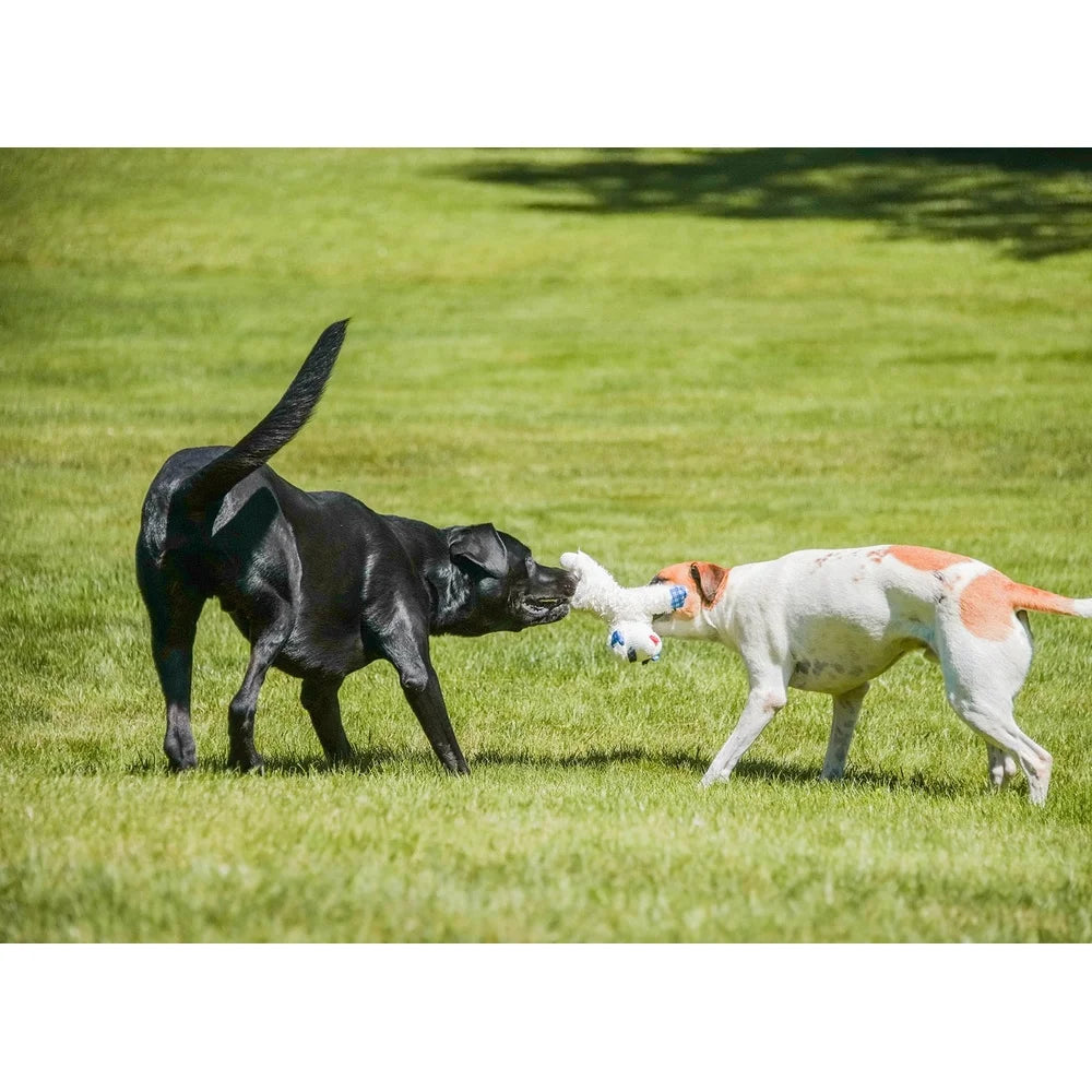 Medium Lamb Chop Dog Toy Plush Squeaker Blue Plaid Ears Perfect Fetch Cuddle Play Ideal Dogs 12 Inch