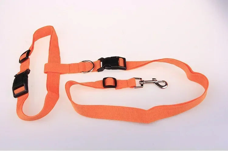 Adjustable Belt Traction Walking Pet Lead with Free Rope for Cats and Dogs Jogging Supplies and Leash for All Seasons