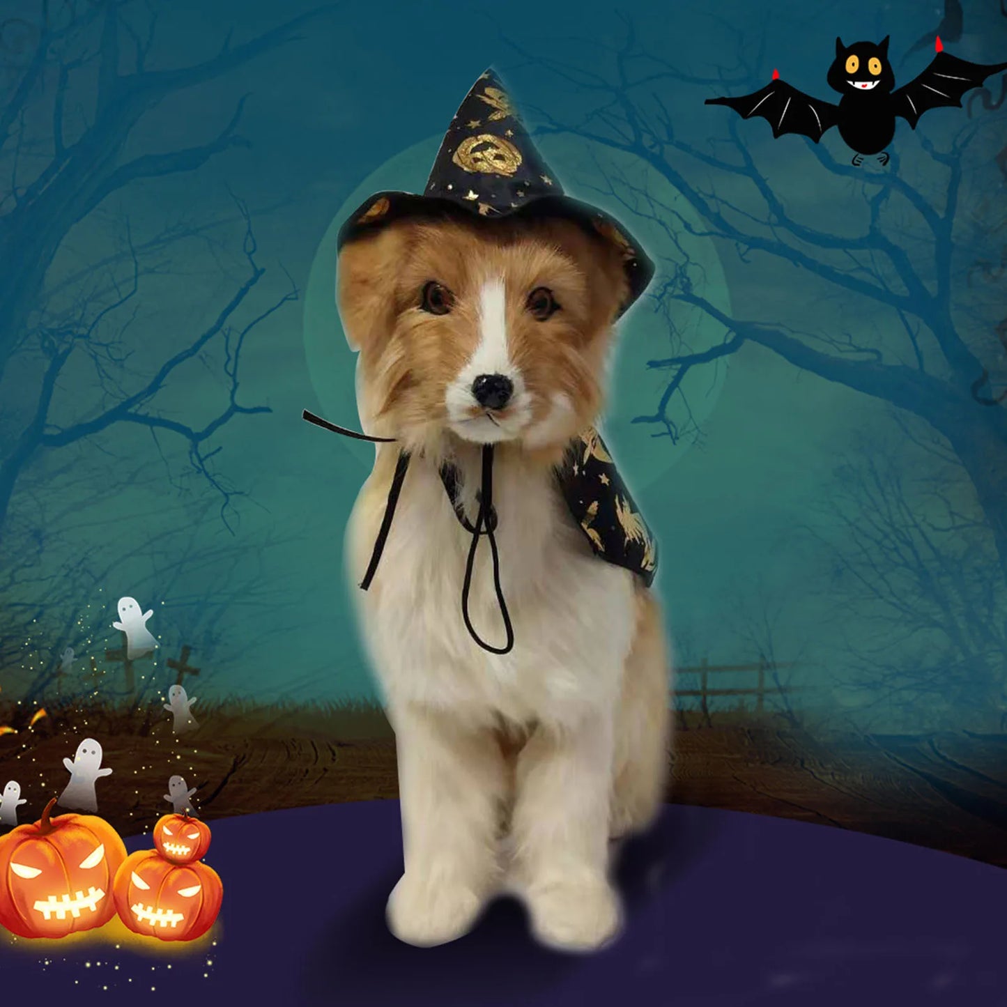 Halloween Pumpkin Cape Pet Costume Set Spiderweb Pattern