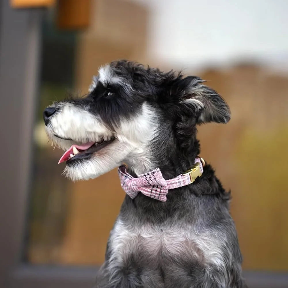 Cute Small Dog Harness Collar Leash Set Adjustable Soft Plaid Design for Extra Small Dogs and Cats