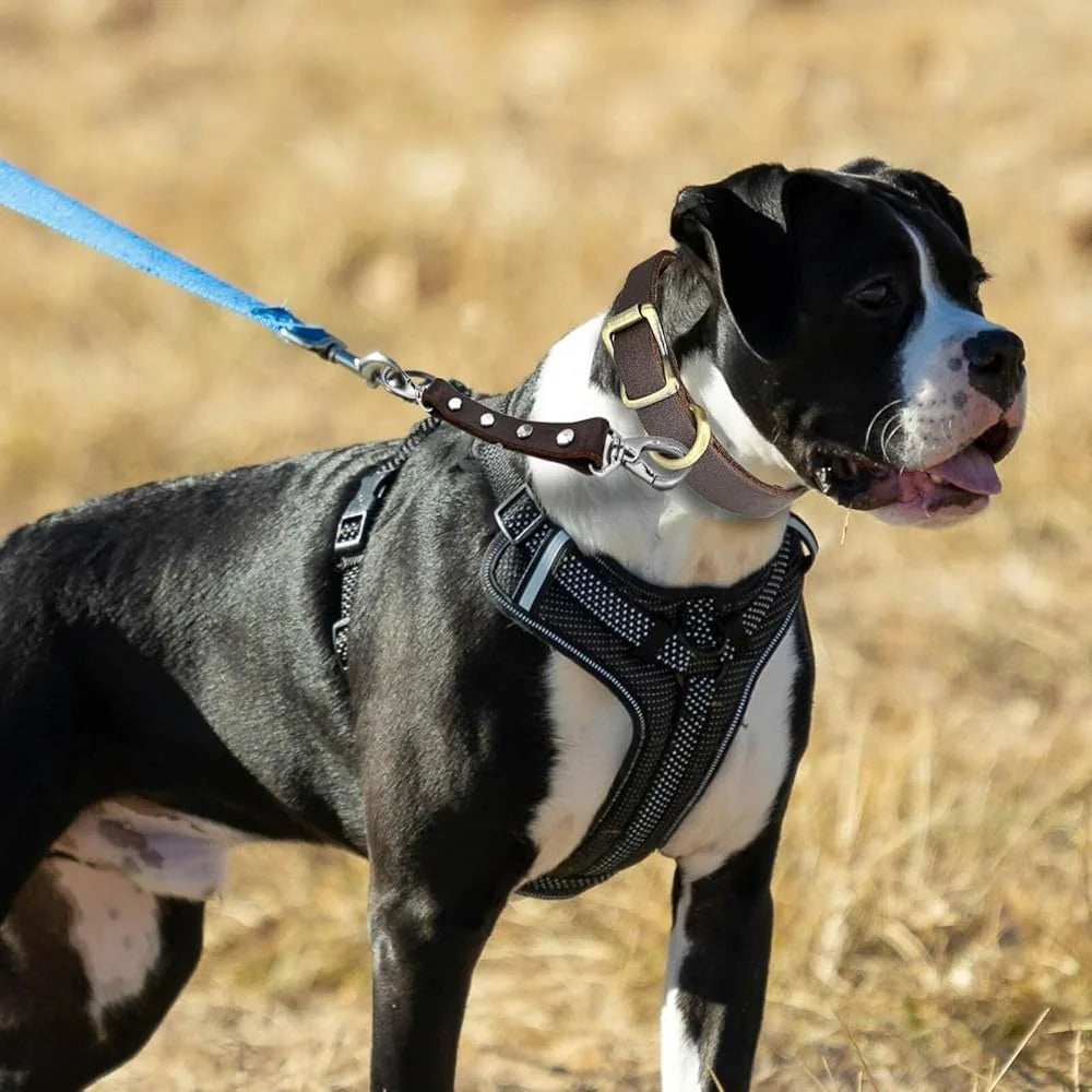 Durable Dog Collar Safety Strap Harness Clip Escape Proof Handmade Leather Connector for All Breeds