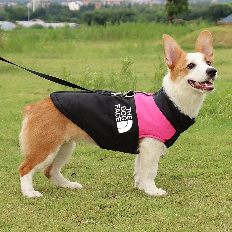 Waterproof Padded Dog Coat With Zipper For Winter Weather