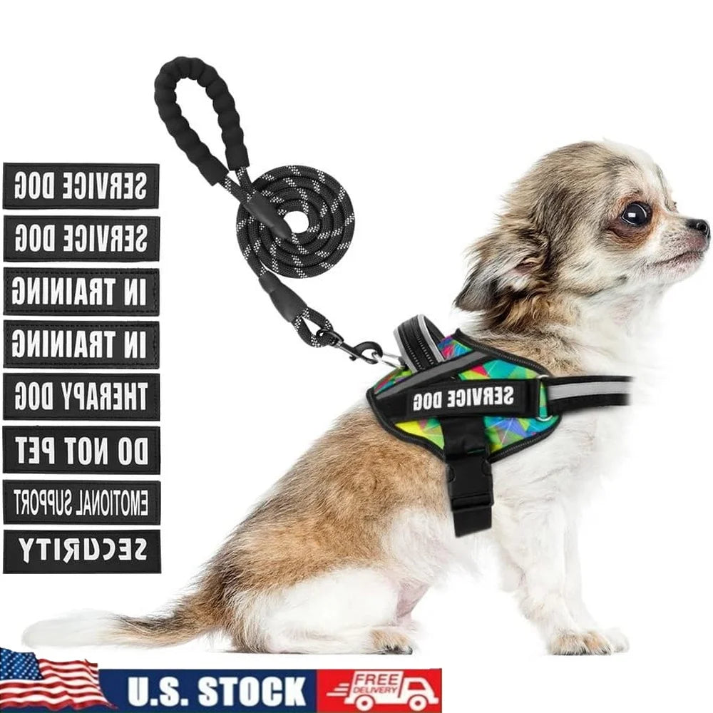 Service Dog Harness Leash Set Reflective No Pull 10 Patches Multi Color Training Vest Durable Lightweight Small to XL Dogs