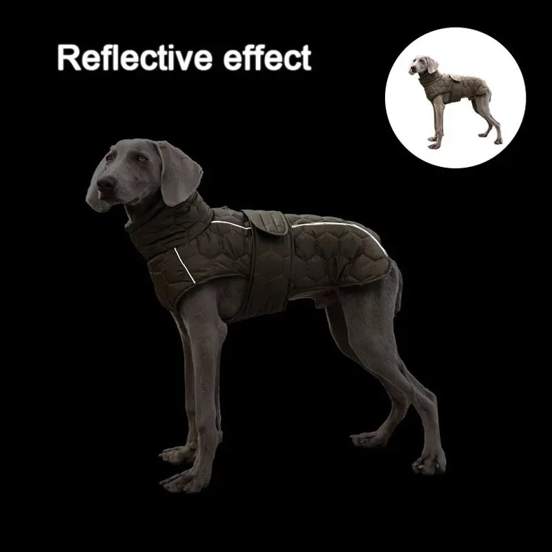 Winter Reflective Snowsuit Down Jacket For Active Dogs