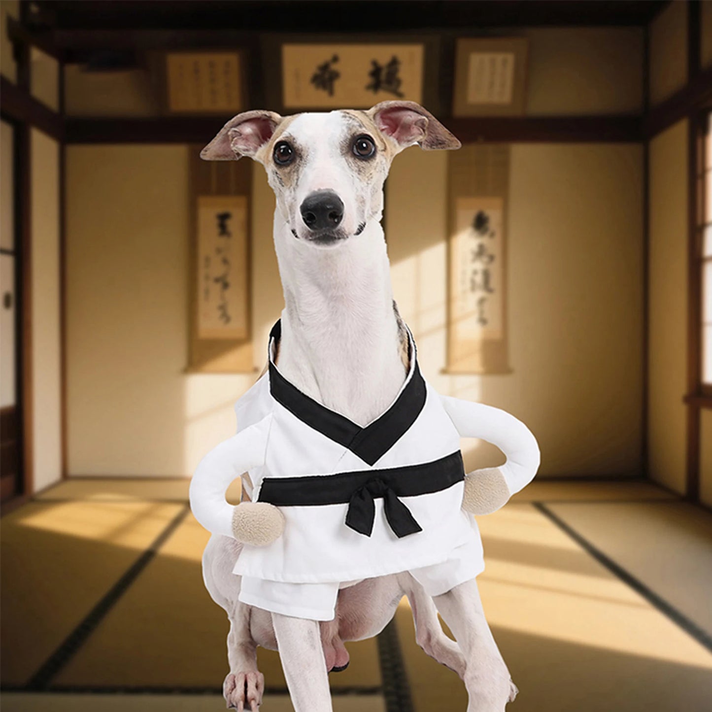 Funny Halloween Pet Costume Soft Comfort For Dogs And Cats