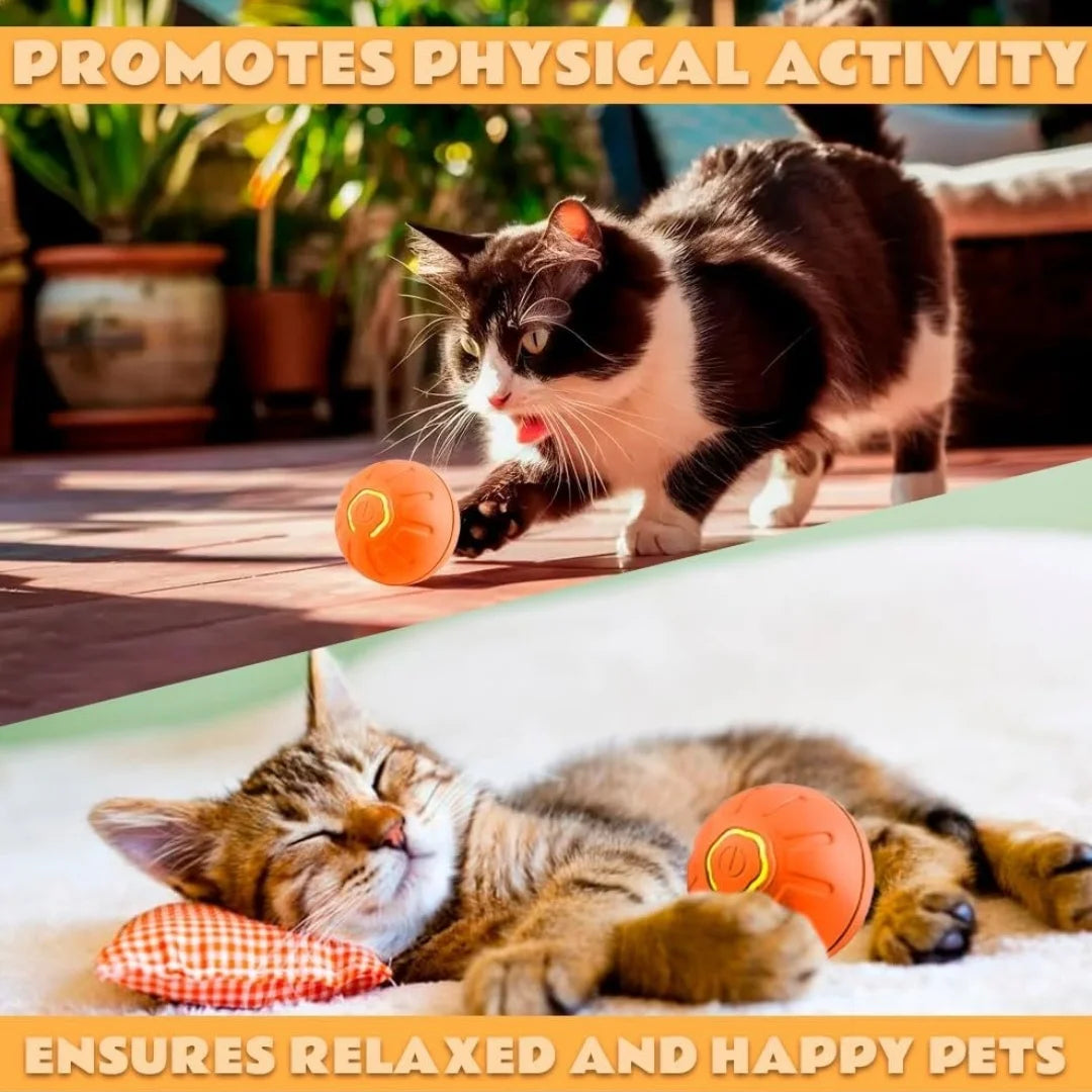 Smart Bouncing Pet Ball Toy With Random Motion For Pets