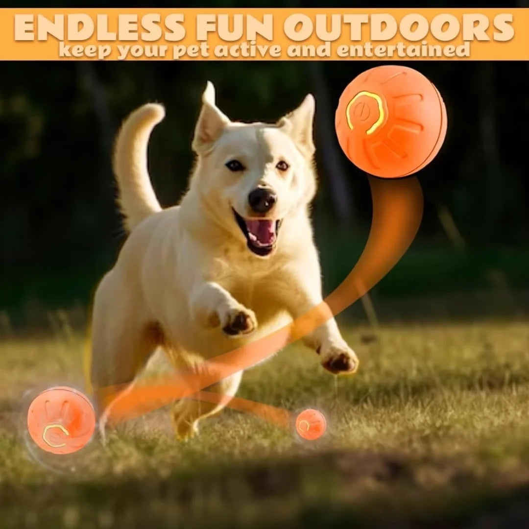 Smart Bouncing Pet Ball Toy With Random Motion For Pets