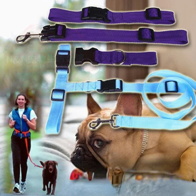 Adjustable Belt Traction Walking Pet Lead with Free Rope for Cats and Dogs Jogging Supplies and Leash for All Seasons