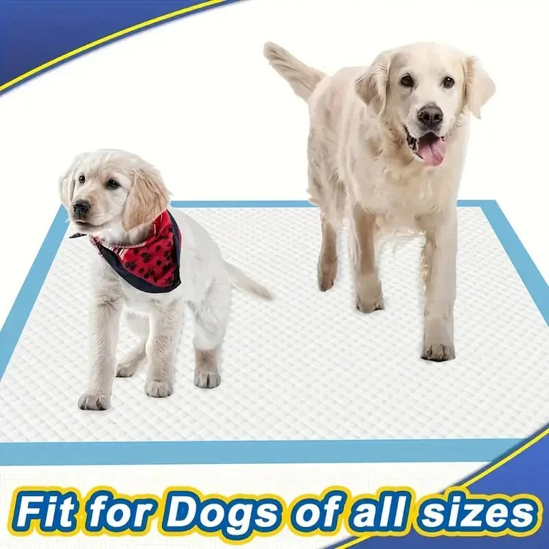 Dog Pee Pads for Potty Training with Quick-Dry Technology