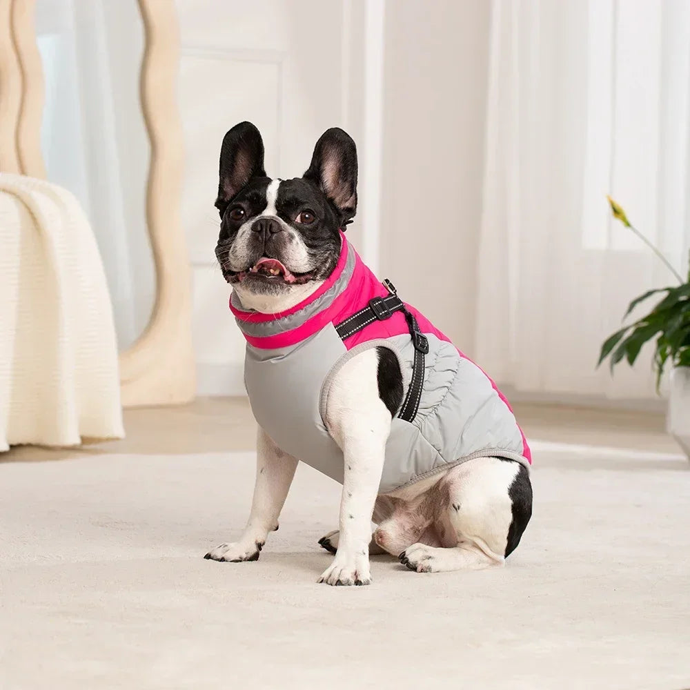 Waterproof Dog Jacket With Harness For Winter Warmth