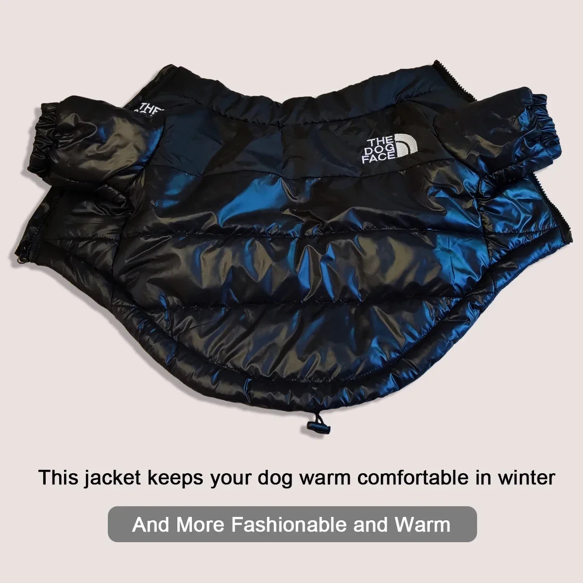 Winter Windproof Reflective Dog Coat for All Breeds