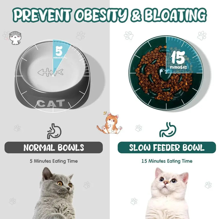 2 Pcs Raised Cat Slow Feeder Bowl Ceramic Elevated Cat Dog Food Bowl 