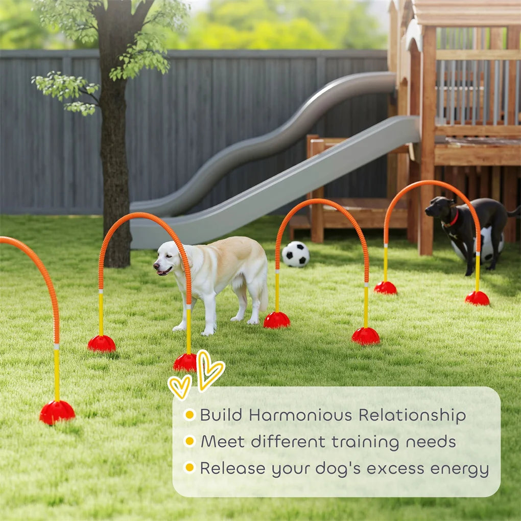 Dog Agility Training Equipment Set for Fun and Exercise