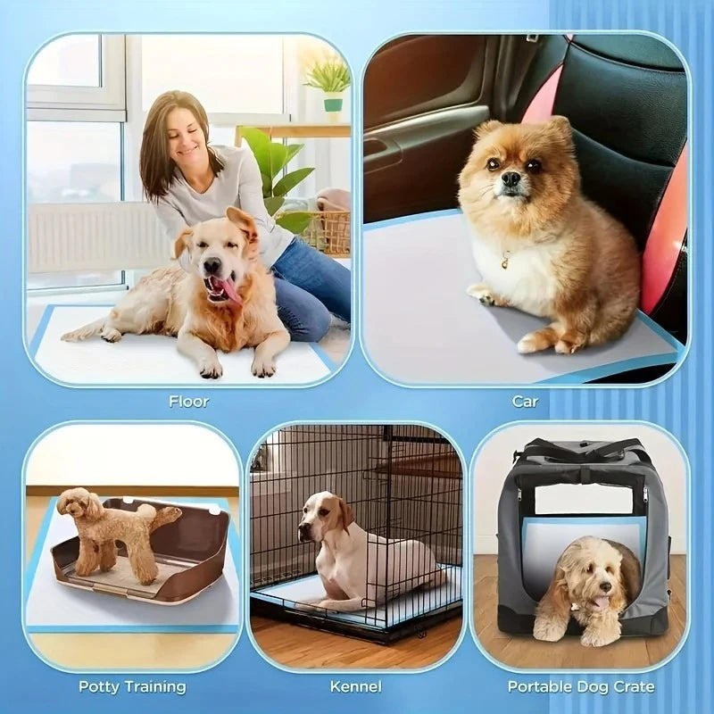 Dog Pee Pads for Potty Training with Quick-Dry Technology