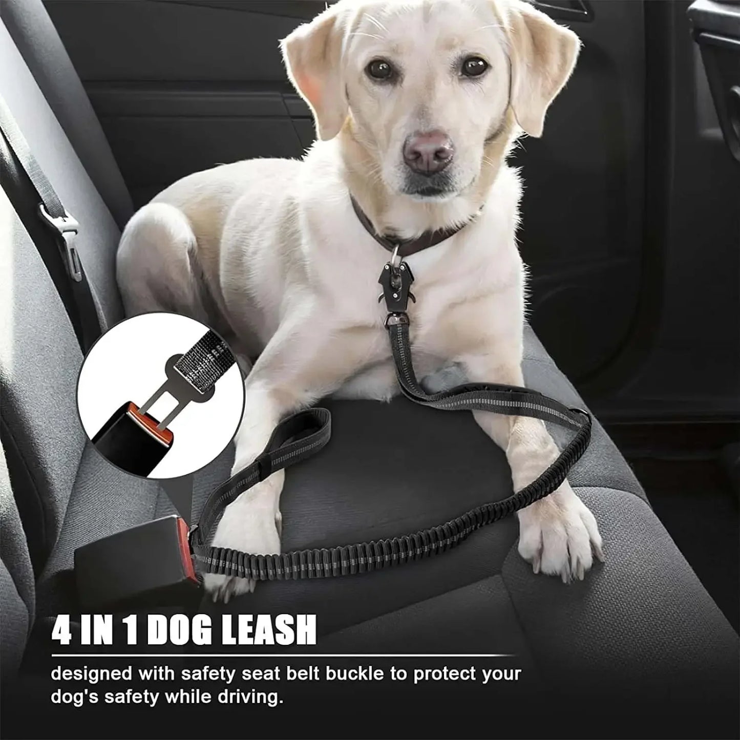 Reflective Shock Absorbing Dog Leash With Car Seatbelt