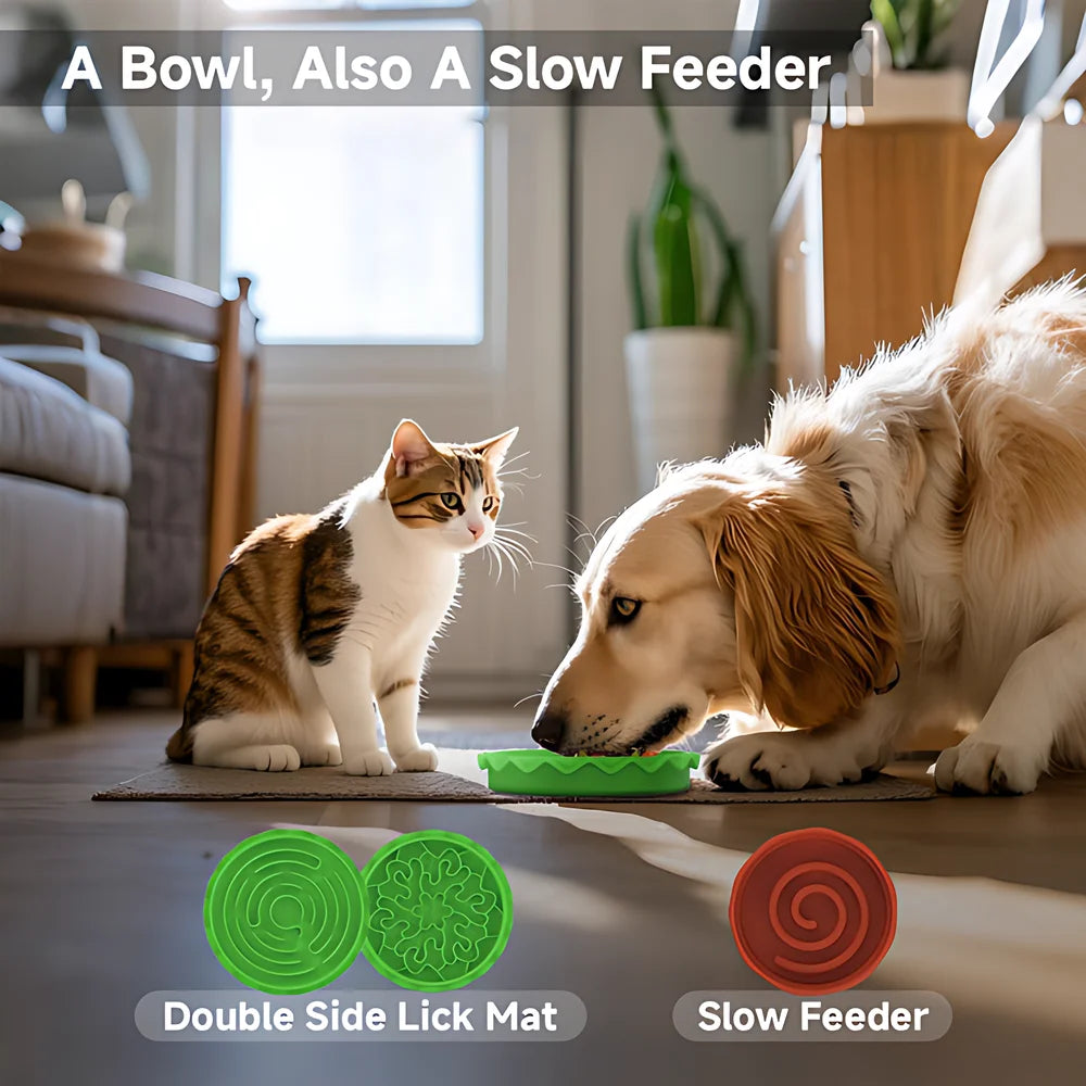 Five in One Burger Pet Bowls Set With Tilted Bowls