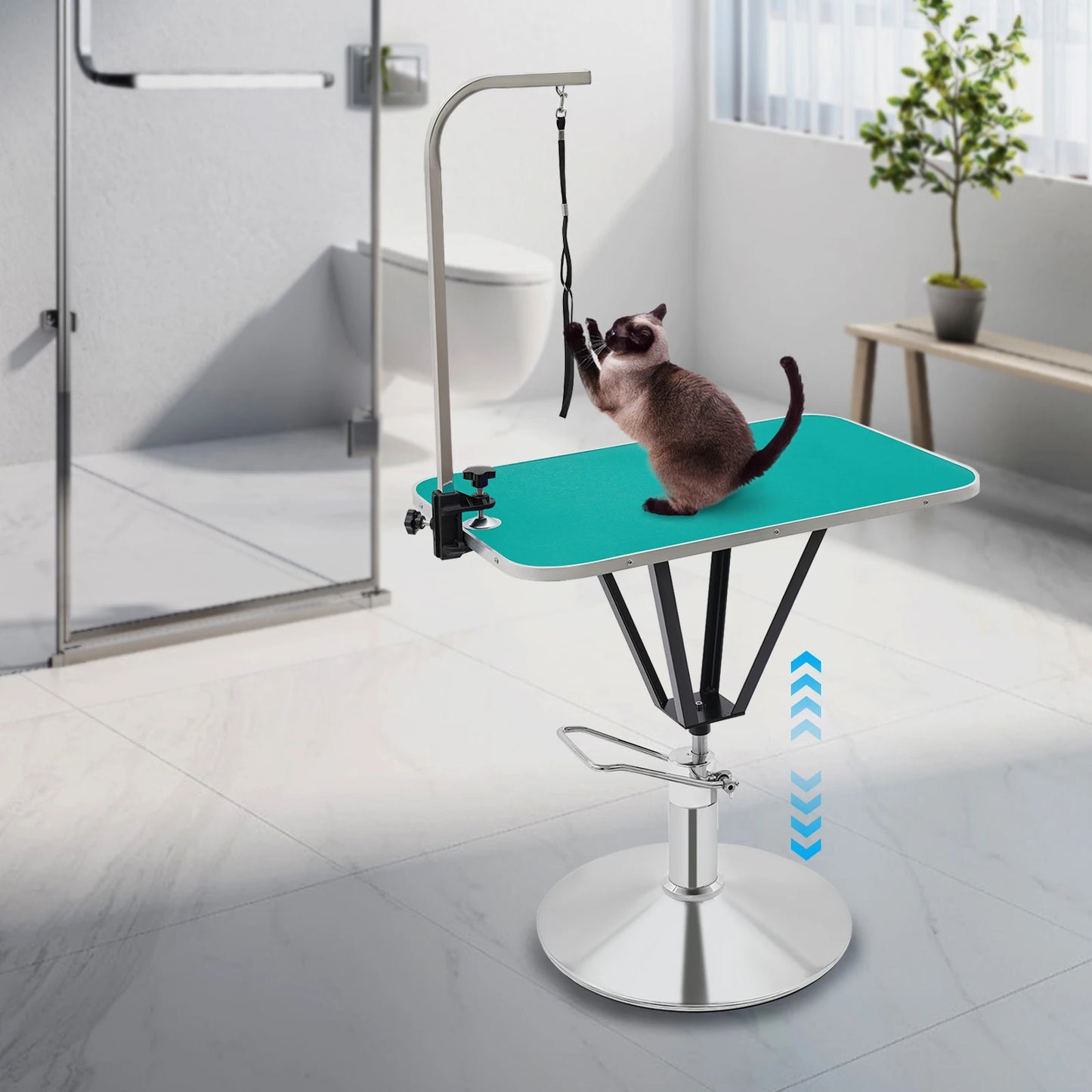 Hydraulic Pet Grooming Table with 360 Degree Swivel Top