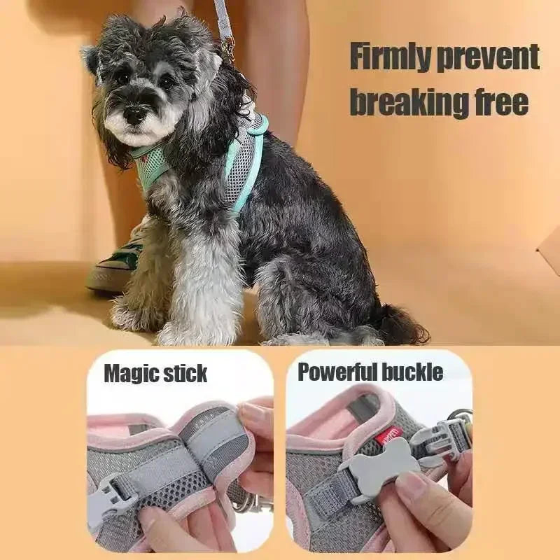 Breathable Adjustable Pet Harness And Collar Vest For Dogs
