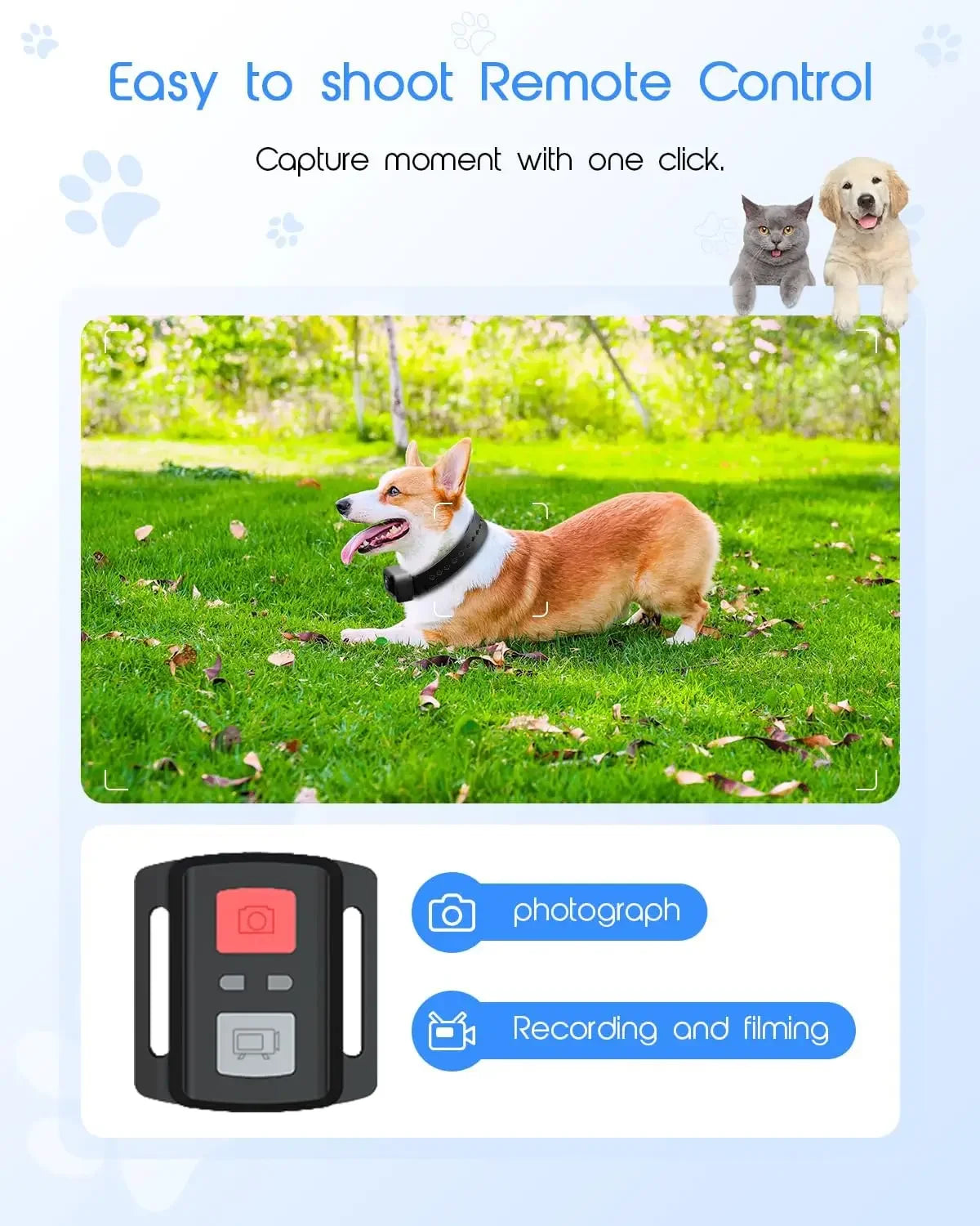 4K Cat Collar Camera HD WiFi Pet Camera with 64GB SD Card Mini Action Camera for Dogs and Cats