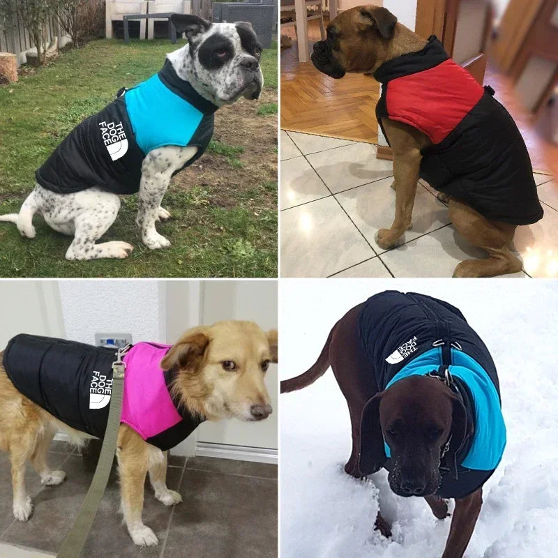 Waterproof Padded Dog Coat With Zipper For Winter Weather