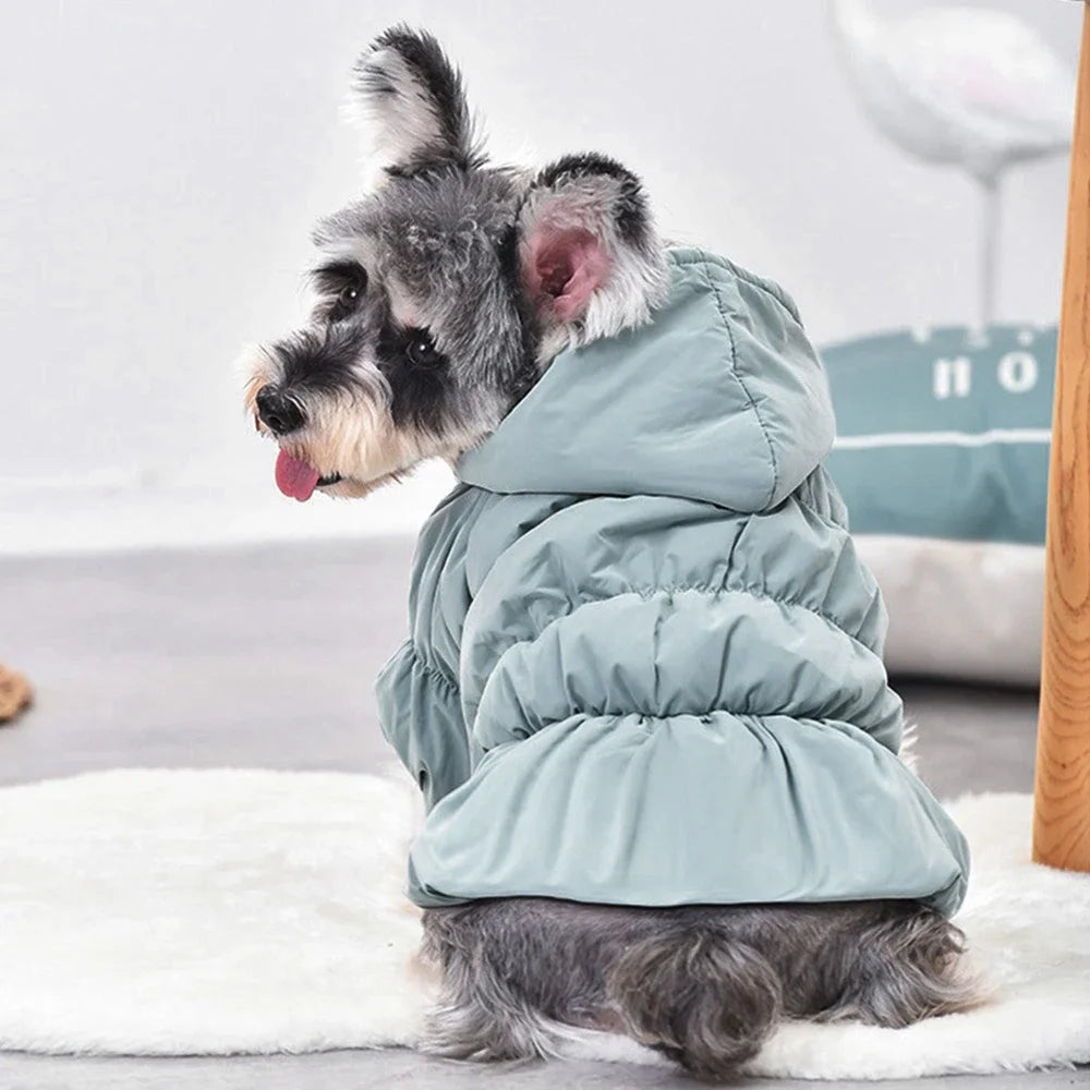 Winter Warm Dog Dress With Floral Bubble Skirt Hooded Coat
