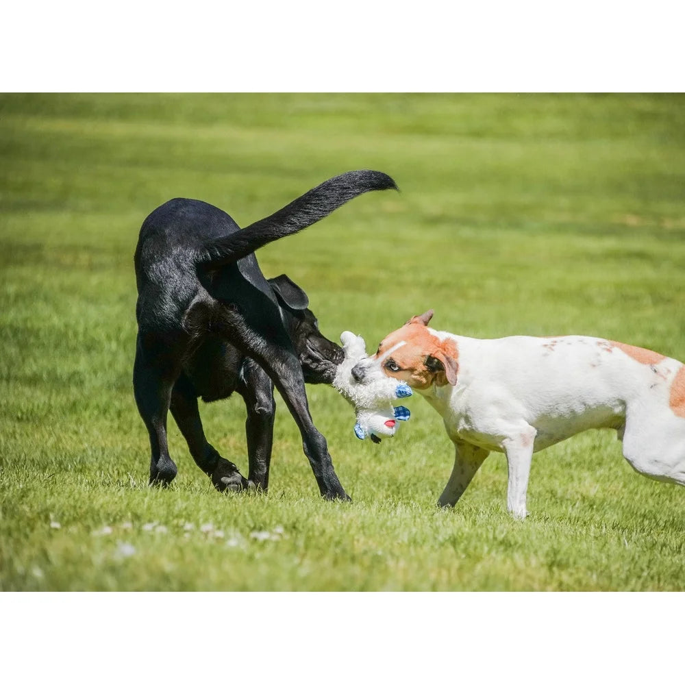 Medium Lamb Chop Dog Toy Plush Squeaker Blue Plaid Ears Perfect Fetch Cuddle Play Ideal Dogs 12 Inch